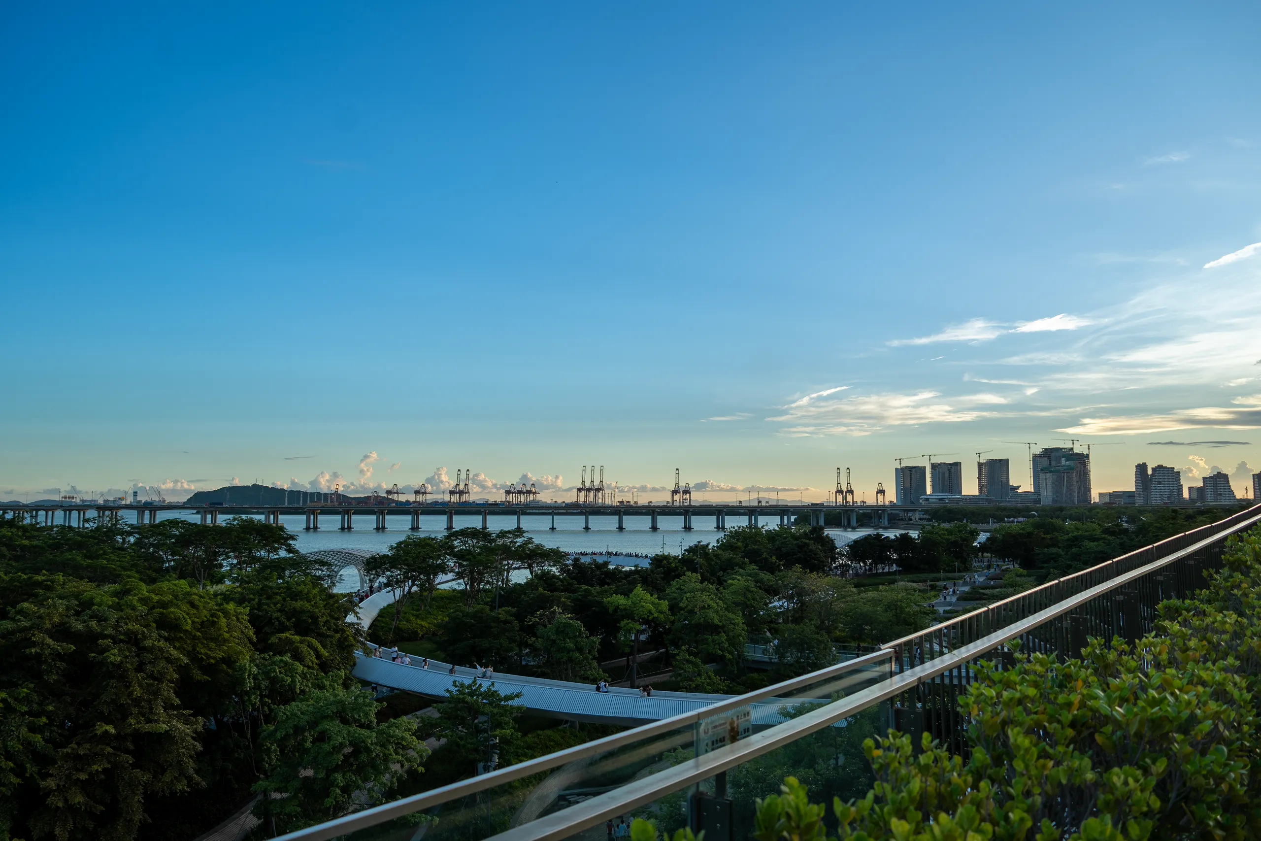 Panoramic view of a coastal cityscape at dusk, featuring a long bridge spanning water with lush green trees in the foreground and modern high-rises in the distance